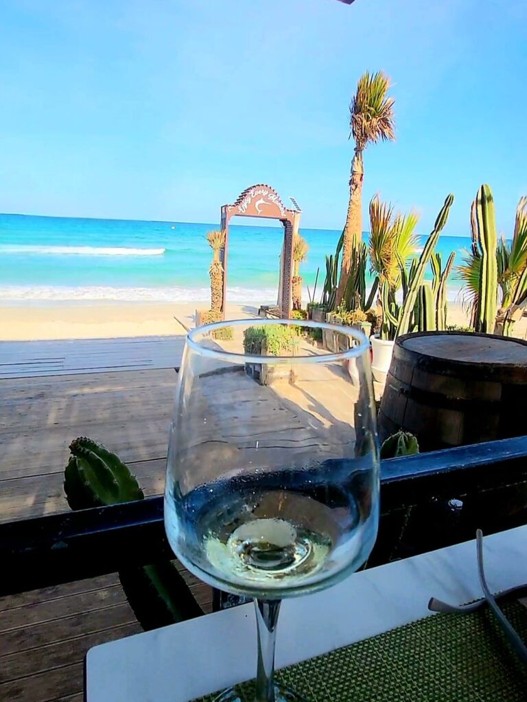 niewinna tunezja by qe